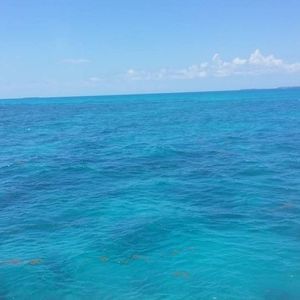 Meet your Posher, Anson